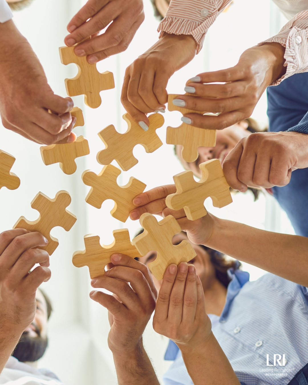 Roles and Goals | Corporate Leadership Development Program